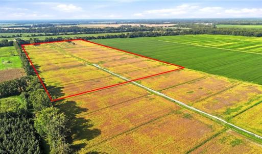Photo #5 of 1773 Land Of Promise Road, Chesapeake, Virginia 37.3 acres