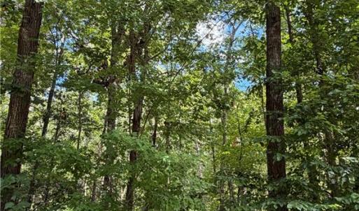 Photo #3 of 6.72Ac Hudson Mill Drive Drive, Lawrenceville, Virginia 6.7 acres