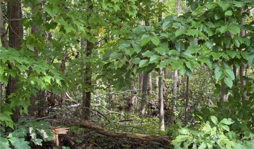 Photo #4 of 6.72Ac Hudson Mill Drive Drive, Lawrenceville, Virginia 6.7 acres