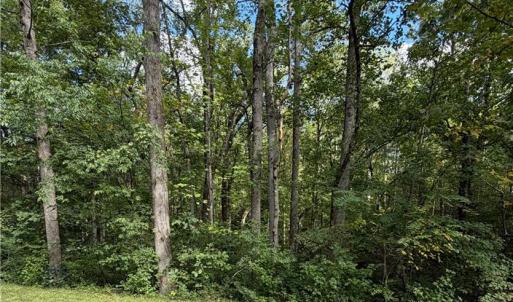 Photo #6 of 6.72Ac Hudson Mill Drive Drive, Lawrenceville, Virginia 6.7 acres