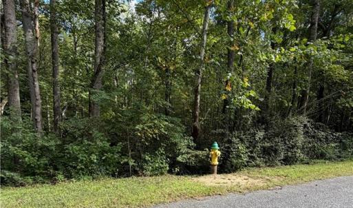 Photo #7 of 6.72Ac Hudson Mill Drive Drive, Lawrenceville, Virginia 6.7 acres