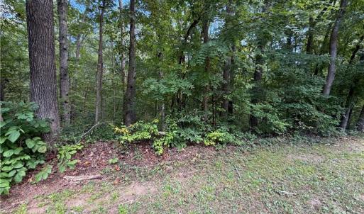 Photo #9 of 6.72Ac Hudson Mill Drive Drive, Lawrenceville, Virginia 6.7 acres