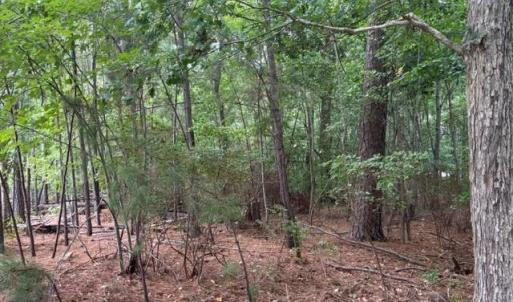 Photo #6 of Lot 5 Boxley (Legal address 229 Menchville) Boulevard, Newport News, Virginia 1.0 acres