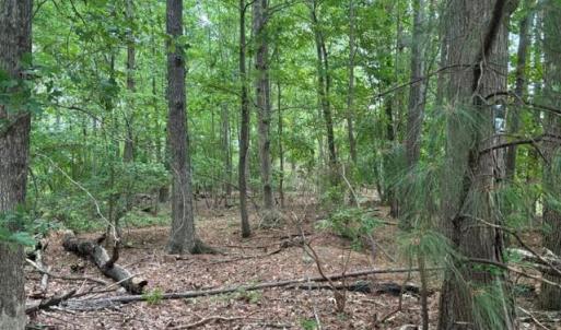 Photo #7 of Lot 5 Boxley (Legal address 229 Menchville) Boulevard, Newport News, Virginia 1.0 acres