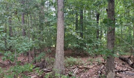 Photo #8 of Lot 5 Boxley (Legal address 229 Menchville) Boulevard, Newport News, Virginia 1.0 acres