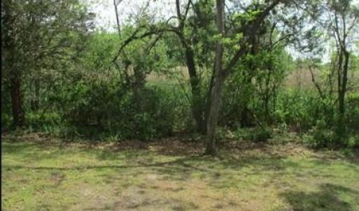 Back corner of property