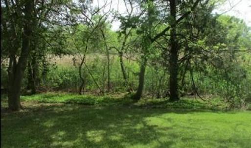 Standing toward back of property