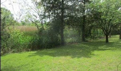 View looking along back of property and Broad Ck