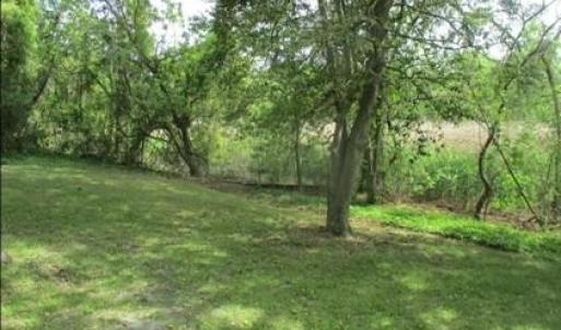 Another view of back corner of property