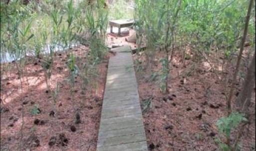 Property allows for fishing on Broad Ck