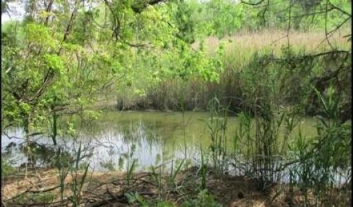 View of Broad Ck provides buffer from surrounding traffic