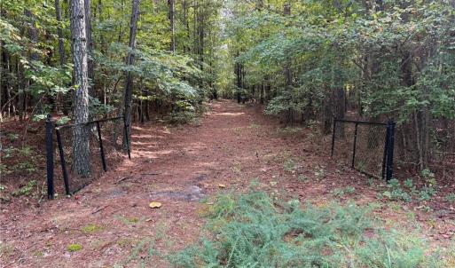Photo #1 of Parcel Dripping Springs Road, Dendron, Virginia 2.5 acres