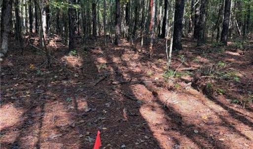 Photo #3 of Parcel Dripping Springs Road, Dendron, Virginia 2.5 acres