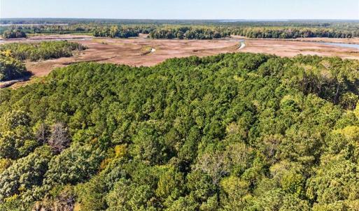 Photo #5 of 14310 Hardys Place, Smithfield, Virginia 3.6 acres