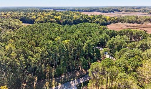 Photo #8 of 14310 Hardys Place, Smithfield, Virginia 3.6 acres