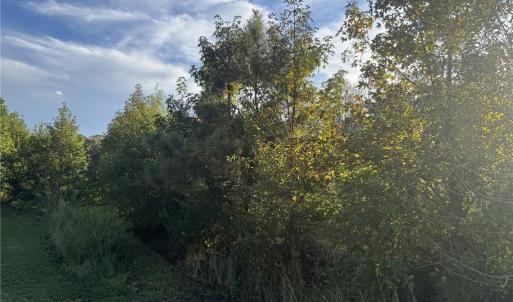 Photo #2 of 7ACRES BACK BAY PUNGO, Virginia Beach, Virginia 7.0 acres