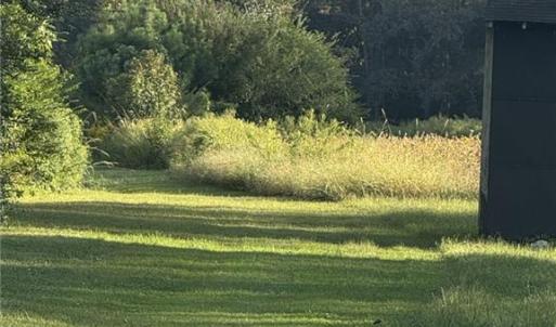 Photo #4 of 7ACRES BACK BAY PUNGO, Virginia Beach, Virginia 7.0 acres