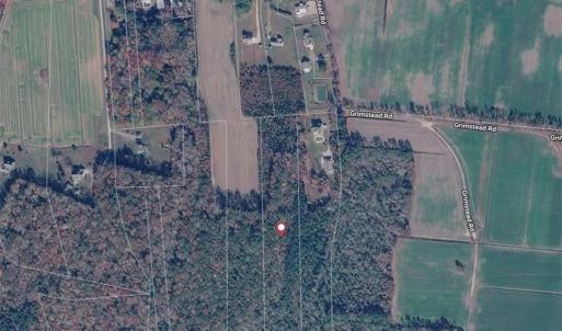 7 Acres of Secluded Property in PUNGO!