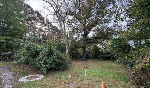 Photo #5 of 2317 Firman Street, Chesapeake, Virginia 2.2 acres