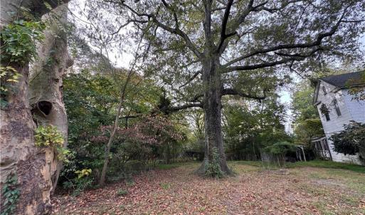 Photo #7 of 2317 Firman Street, Chesapeake, Virginia 2.2 acres