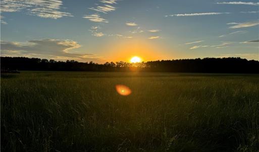 Photo #2 of 42 AC Saint Brides Road, Chesapeake, Virginia 42.0 acres