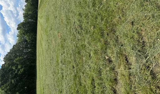 Photo #11 of 42 AC Saint Brides Road, Chesapeake, Virginia 42.0 acres