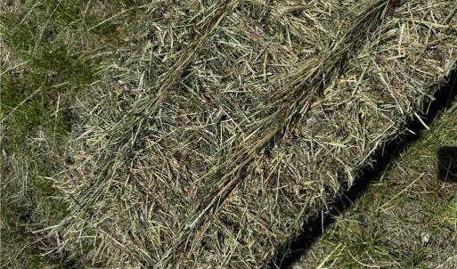 Photo #12 of 42 AC Saint Brides Road, Chesapeake, Virginia 42.0 acres