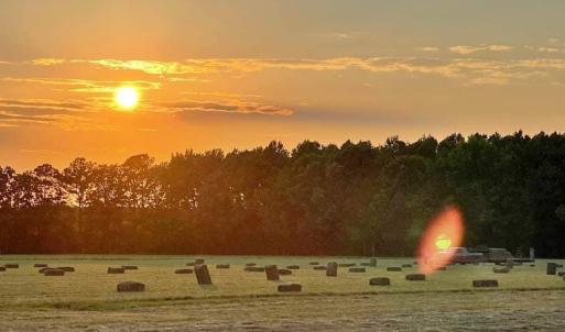 Photo #14 of 42 AC Saint Brides Road, Chesapeake, Virginia 42.0 acres