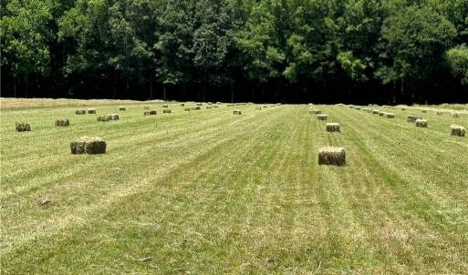 Photo #15 of 42 AC Saint Brides Road, Chesapeake, Virginia 42.0 acres