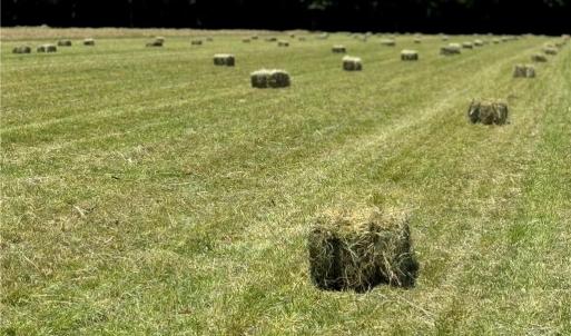 Photo #16 of 42 AC Saint Brides Road, Chesapeake, Virginia 42.0 acres