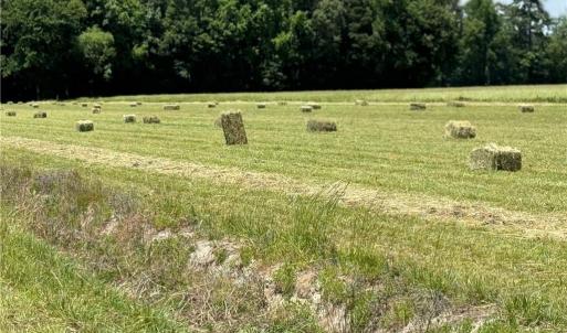 Photo #17 of 42 AC Saint Brides Road, Chesapeake, Virginia 42.0 acres