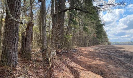 Photo #21 of 42 AC Saint Brides Road, Chesapeake, Virginia 42.0 acres