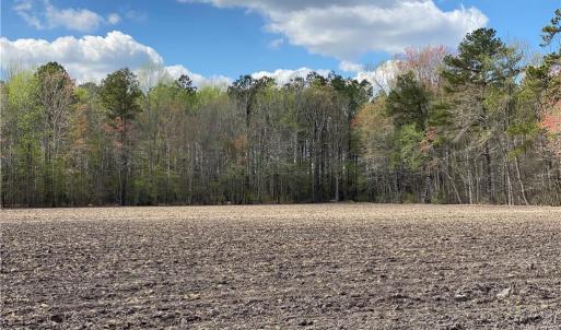 Photo #29 of 42 AC Saint Brides Road, Chesapeake, Virginia 42.0 acres