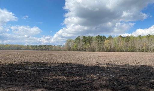 Photo #30 of 42 AC Saint Brides Road, Chesapeake, Virginia 42.0 acres
