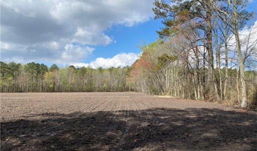 Photo #31 of 42 AC Saint Brides Road, Chesapeake, Virginia 42.0 acres