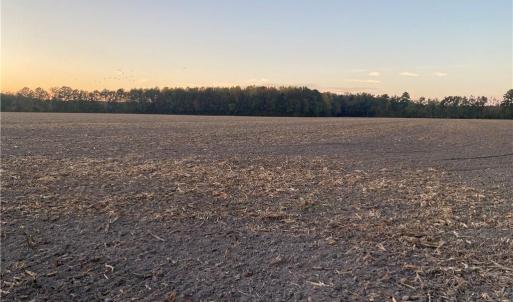 Photo #33 of 42 AC Saint Brides Road, Chesapeake, Virginia 42.0 acres