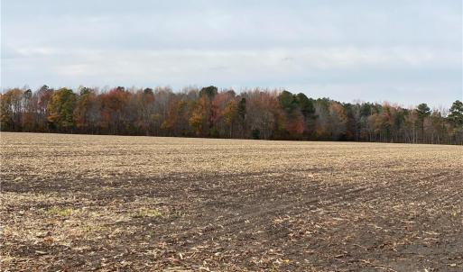 Photo #34 of 42 AC Saint Brides Road, Chesapeake, Virginia 42.0 acres