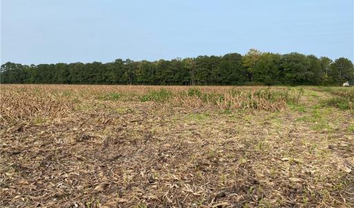 Photo #35 of 42 AC Saint Brides Road, Chesapeake, Virginia 42.0 acres