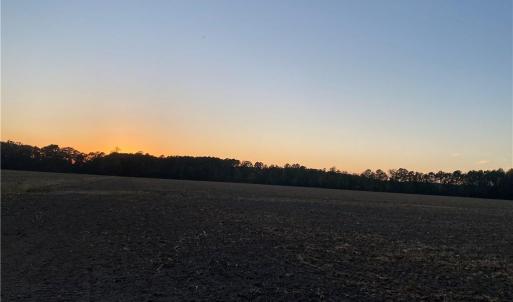 Photo #36 of 42 AC Saint Brides Road, Chesapeake, Virginia 42.0 acres