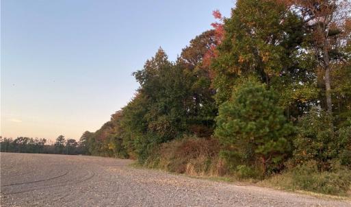 Photo #37 of 42 AC Saint Brides Road, Chesapeake, Virginia 42.0 acres