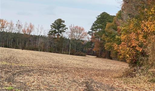 Photo #39 of 42 AC Saint Brides Road, Chesapeake, Virginia 42.0 acres