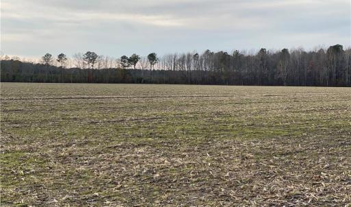 Photo #40 of 42 AC Saint Brides Road, Chesapeake, Virginia 42.0 acres