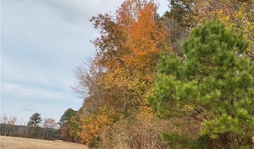 Photo #41 of 42 AC Saint Brides Road, Chesapeake, Virginia 42.0 acres