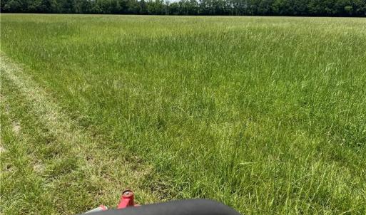 Photo #8 of 42 AC Saint Brides Road, Chesapeake, Virginia 42.0 acres