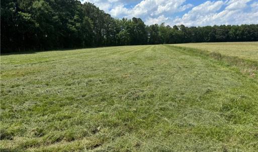 Photo #9 of 42 AC Saint Brides Road, Chesapeake, Virginia 42.0 acres