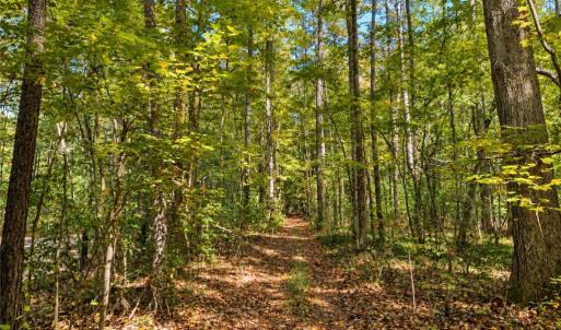 Photo #9 of 22 AC Johnson Lane, Chesapeake, Virginia 22.0 acres