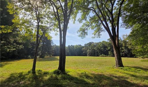 View from Bush Neck Road