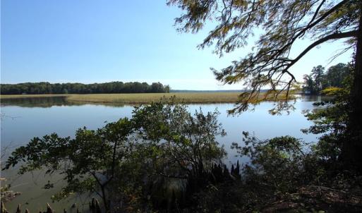 Photo #3 of 2051 Bush Neck Road, Williamsburg, Virginia 90.3 acres
