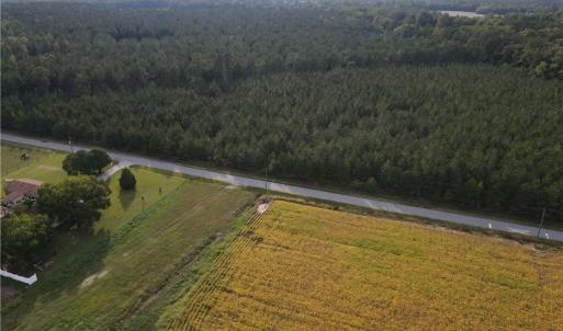 Photo #14 of 12AC Jenkins Mill Road, Franklin, Virginia 12.7 acres