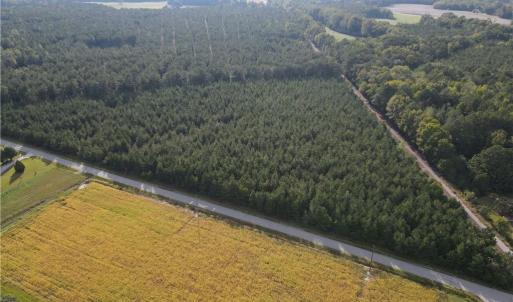 Photo #17 of 12AC Jenkins Mill Road, Franklin, Virginia 12.7 acres
